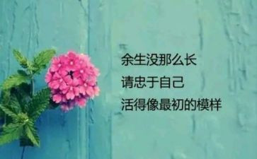 我最喜欢的人是谁作文模板6篇
