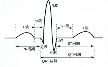 心电图的自我鉴定5篇