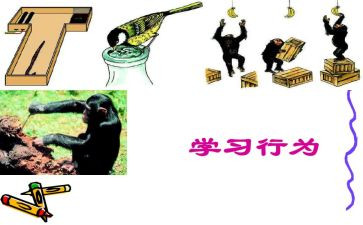 行为规范养成教育心得体会8篇