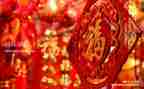 最新年度个人总结优秀5篇