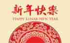 大班庆新年教案7篇