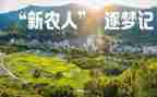 新农村建设的工作总结8篇