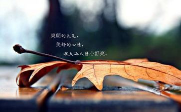 写心情作文通用5篇
