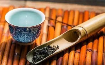 和修养有关的作文6篇