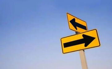 放弃或选择作文优秀5篇