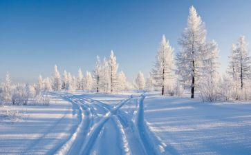 除雪实践活动总结5篇