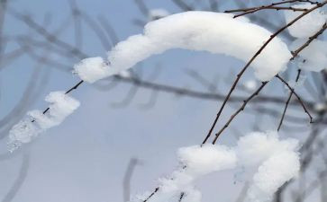 志愿除雪活动总结模板7篇
