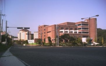 学部教学工作总结范文8篇