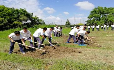 小学农村工作计划优质7篇