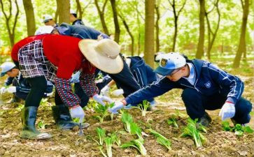 小学农村工作计划优秀5篇