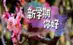 初三班主任下学期工作总结推荐6篇