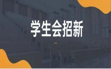 学生会工作总结个人300优质7篇
