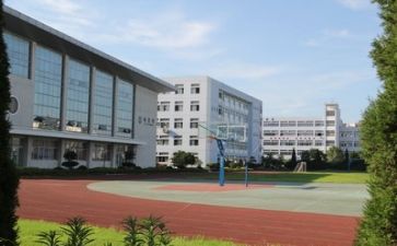 我的学校作文600字作文最新7篇