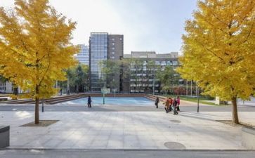 学校培训工作总结参考7篇