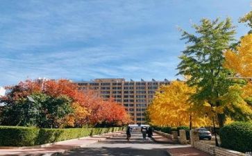 2024年学校个人总结范文参考5篇