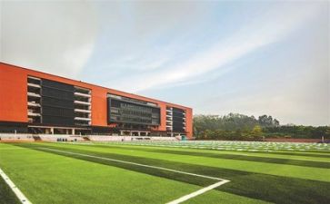 学校培训总结优质8篇
