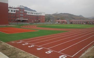 学校的我演讲稿精选8篇