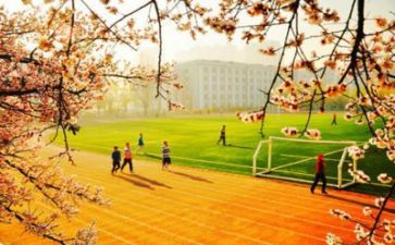 对学校的体会作文5篇