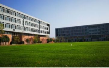 学校年个人工作总结最新8篇