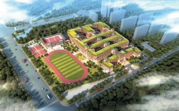 2024年学校个人总结范文5篇