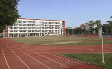 学校推荐活动总结5篇