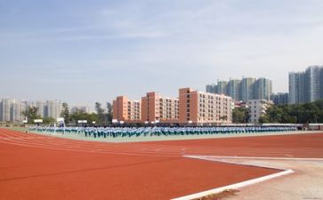 学校培训个人总结8篇