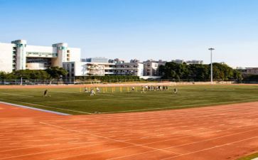学校安全处工作总结参考6篇