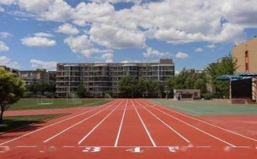学校灶个人工作总结模板7篇