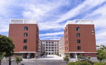 学校年终个人总结模板5篇