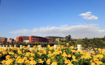 个人在学校的工作总结模板5篇