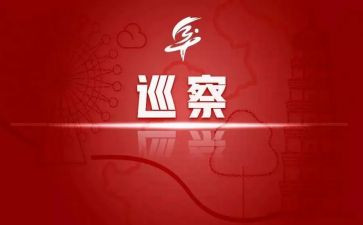 巡察组组长个人工作总结6篇