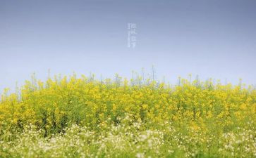 叙事的作文300字模板7篇