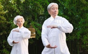 养老月工作总结推荐6篇