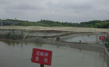 养殖合同通用7篇