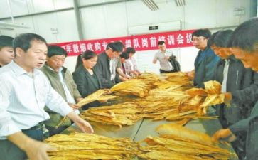 检验员述职报告5篇