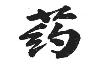 药剂士工作总结模板6篇