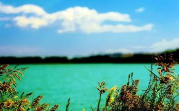 购茶叶合同通用5篇