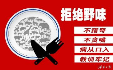 拒绝野味敬畏自然演讲稿8篇