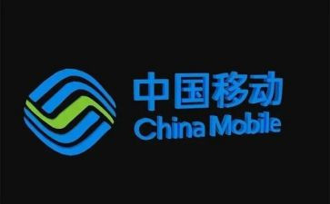2024年移动公司客户经理工作总结8篇