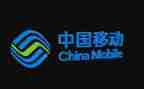 2024年移动公司客户经理工作总结8篇