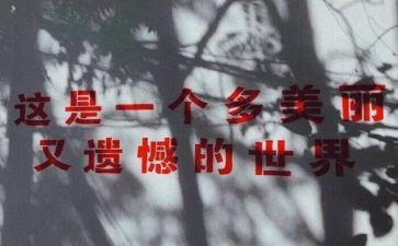 不遗憾作文8篇