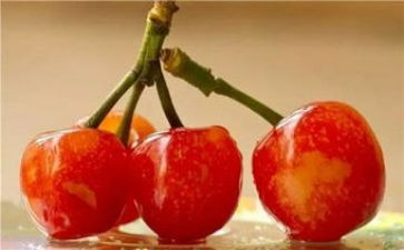 樱桃作文优秀7篇