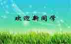 迎新活动的总结模板5篇