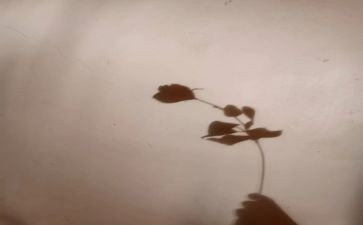 大班科学活动光和影子教案5篇