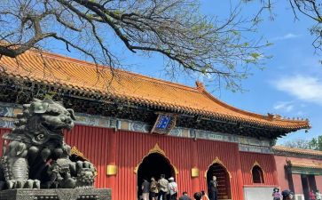 党员参观雍和宫心得体会8篇