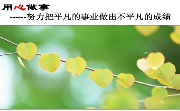 用心工作的心得体会5篇