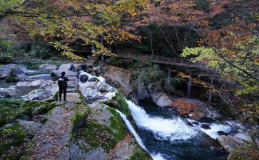 游览关于游览的作文7篇