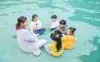幼师的述职报告范文5篇