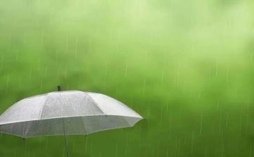 雨后彩虹作文8篇
