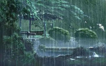 雨的集锦作文参考5篇